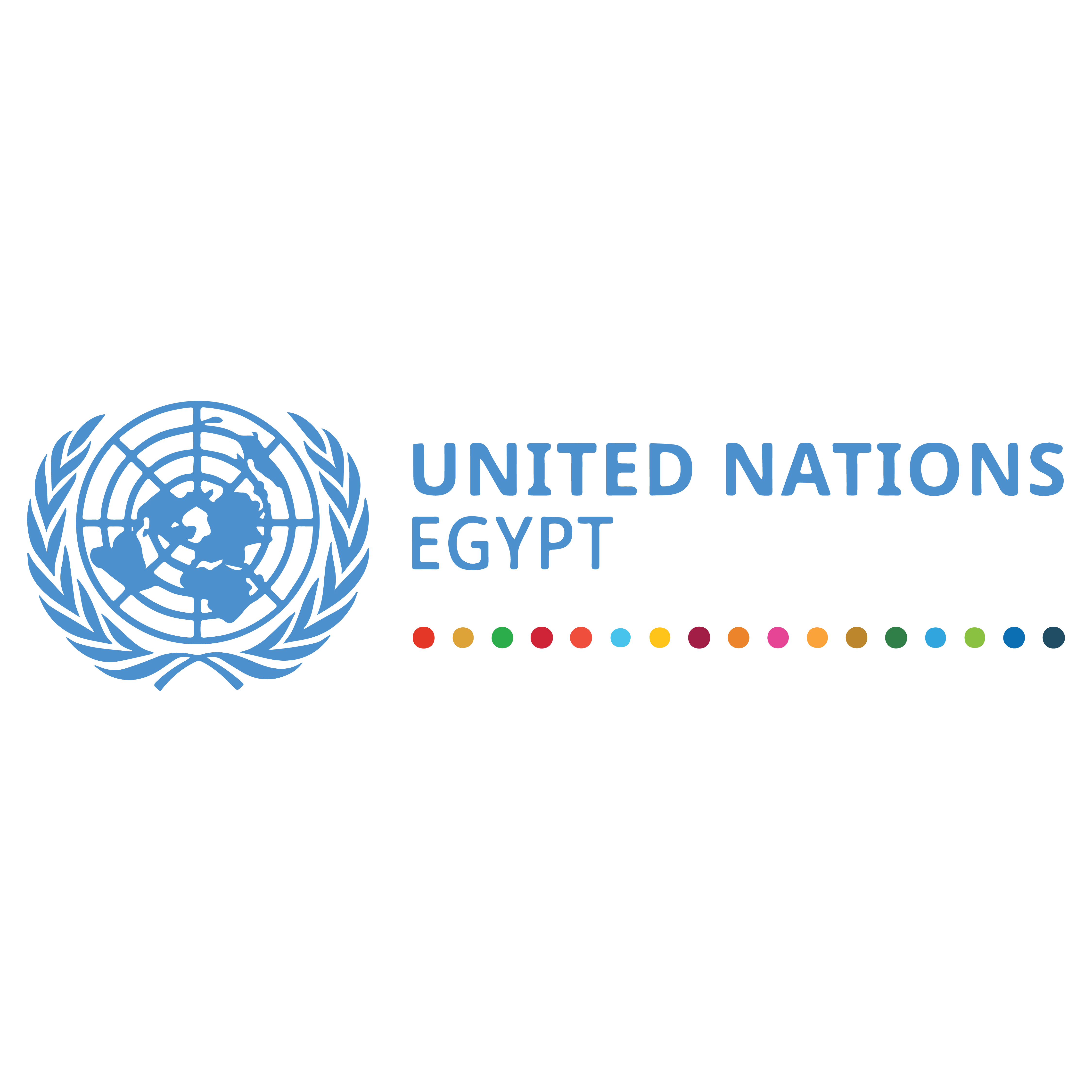 Copy of UN in egypt Logo