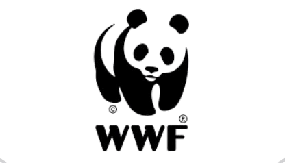 9c4cffd0d110f387b0e2be027735031b08c03959__1___1_-removebg-preview (1)